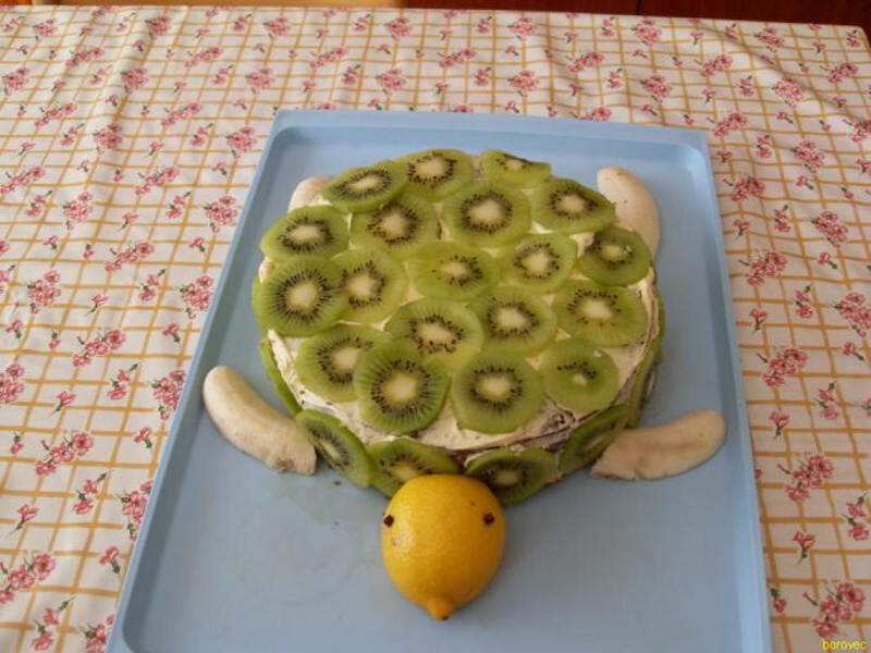 želva