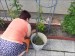 14.6.20, myš,Alan a Pavla společně plejí-3